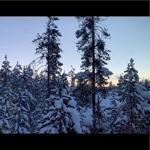 Meet your Posher, Ally